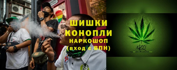 шишки Новокубанск