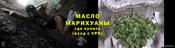 шишки Новодвинск