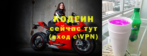 шишки Новодвинск