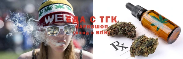 шишки Новодвинск