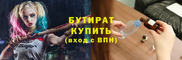 шишки Новодвинск