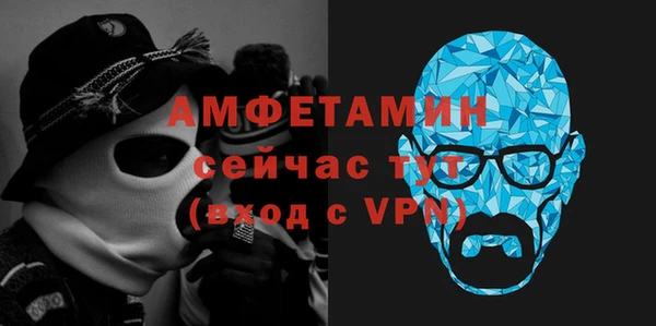 шишки Новодвинск