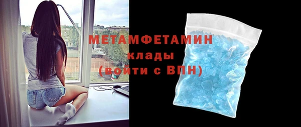 шишки Новодвинск