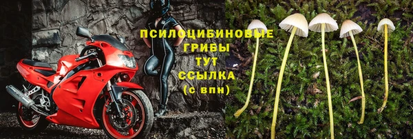 шишки Новокубанск