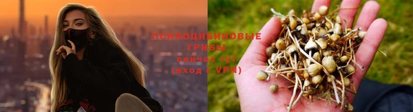 кокаин премиум Новозыбков