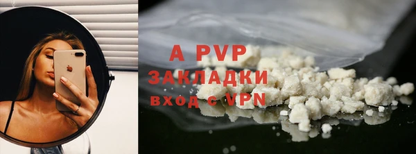 шишки Новодвинск