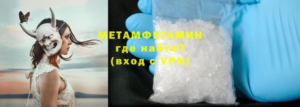 шишки Новодвинск