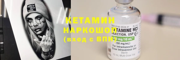 шишки Новодвинск