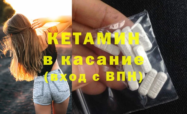 шишки Новодвинск