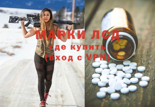 шишки Новокубанск