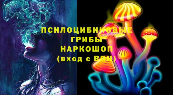 шишки Новодвинск