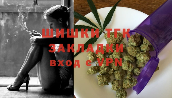 шишки Новокубанск