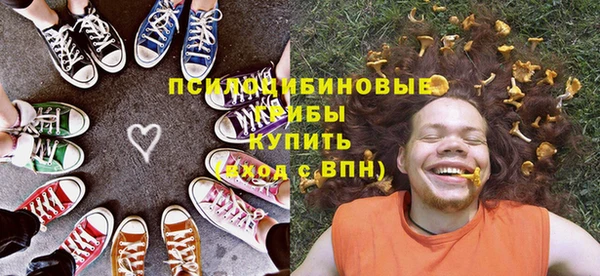 шишки Новодвинск