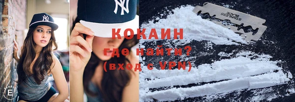 шишки Новокубанск