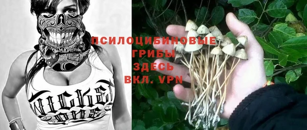шишки Новодвинск