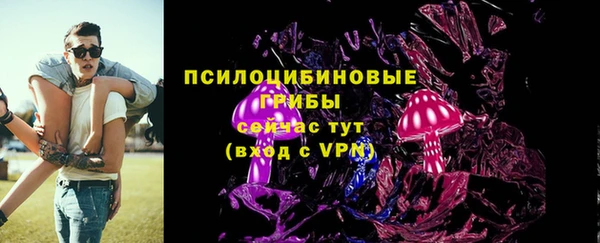 шишки Новодвинск
