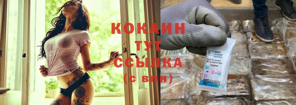 шишки Новодвинск