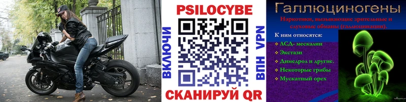 Псилоцибиновые грибы прущие грибы  МЕГА маркетплейс  Багратионовск 